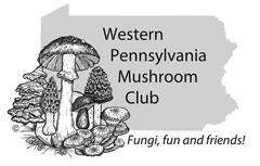 Mushroom clubs | Mushroom